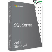 Orijinal Microsoft Windows SQL Server 2014 Standard ESD Lisans - 1