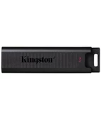 Kingston 1TB USB 3.2 Gen 2 DataTraveler Max - 1