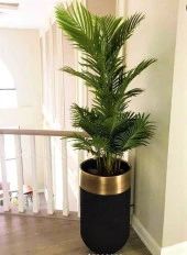 DEKORATİF ESKİTME BÜYÜK SAKSI , Darbuka Saksı ,70cm - 3