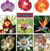 DAY 10 ADET ARI ORKİDE ÇİÇEK TOHUMU + 10 ADET HEDİYE KARIŞIK RENK GÜL TOHUMU thumbnail 2