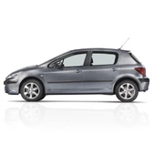 Peugeot 307 HB 2001-2007 Arka Bagaj Kapağı Amortisörü Pistonu 7925.15 - 2