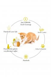 Galetto Lazerli Horoz İnteraktif Kedi Oyuncağı - 2