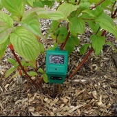 TFA Bahçe Kombi Toprak Işık PH Nem ve Sıcaklık Ölçer Seti - 5