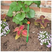 TFA Bahçe Kombi Toprak Işık PH Nem ve Sıcaklık Ölçer Seti - 6