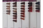 H.A.SS Oksidan 60 Ml. + Theodora Saç Boyası 60 Ml. (3'er Adet) - 5