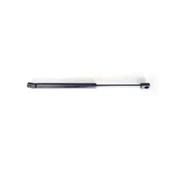 VW Passat B6 Sedan 2006-2011 Arka Bagaj Amortisörü Pistonu 3C5827550C - 1