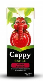 CAPPY VİŞNE 200 - 1