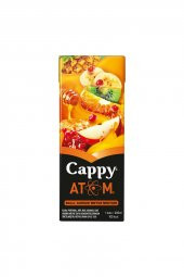 CAPPY ATOM BALLI KARIŞIK MEYVA 200 - 1