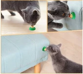 Catnipli Şeker Kedi Yalama Enerji Topu Tavuklu - 3