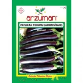 PATLICAN ( AYDIN SİYAHI) TOHUMU 10 GR - 1