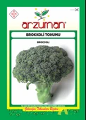 BROKOLİ (300 ADET) - 1
