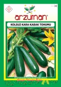 KOLSUZ KARA KABAK ( SİYAH ) TOHUMU 10 GR - 2