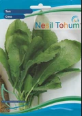 NESİL TERE (HELEN) TOHUMU 10 GRAM thumbnail 1