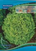 NESİL  MARUL TOHUMU (ARAPSAÇI) 5 GRAM - 1