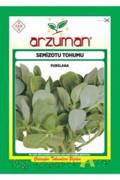 SEMİZOTU TOHUM (TOROS NAZLISI )10 GR - 1