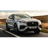 Jaguar XE Ön Panjur Izgara Panter 3M 3D Logo 100mm - 7