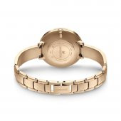5642218 Swarovski Kol Saati Crystallıne Delıght:Cr Gry/Cry/Pro - 3