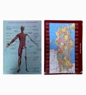 2Li Eğitici Puzzle Set Türkiye Haritası 50 parça ve İnsan Anatomisi 60 parça - 1