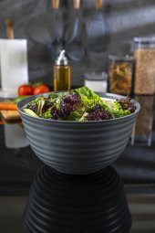 Vera Maxi, Plastik Salata ve Meyve Sunum Kasesi 4,5 lt - Ø25 - 1