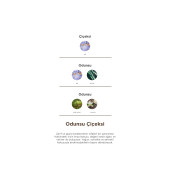 Imprime Antique Edp 100 Ml Erkek Parfümü thumbnail 5