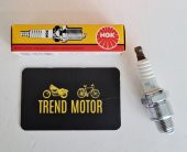 BUJİ NGK BR7HS-10 BWS100 NH100 KINETIC MOBYLETTE PEUGEOT İKİ ZAMANLI MOTOR thumbnail 2