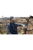 PRO PRUNER AKÜLÜ BAHÇE MAKASI (SOLO) - 6
