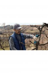 PRO PRUNER AKÜLÜ BAHÇE MAKASI - 6