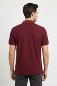 NAYKI ERKEK POLO YAKA T-SIHIRT 2058 thumbnail 6