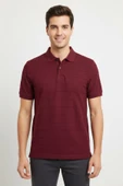 NAYKI ERKEK POLO YAKA T-SIHIRT 2058 thumbnail 1