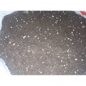 Tunasol Organik 60 lt torf. Solucan Gübreli 6 lı Karışım. Bitki Saksı Çiçek Toprağı - 2