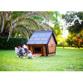 Mandu Ahşap Tavuk Kümesi (6 Tavuk) Ve Güvercin Evi - 4