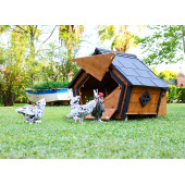 Mandu Ahşap Tavuk Kümesi (6 Tavuk) Ve Güvercin Evi - 6