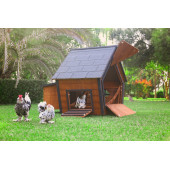 Mandu Ahşap Tavuk Kümesi (10 Tavuk) - 6