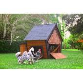 Mandu Ahşap Tavuk Kümesi (10 Tavuk) - 7