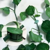 10 lu Yaprak Tasarımlı  Kablo Bitki Sarmaşık Düzenleyici Yapışkanlı Klipsler thumbnail 4