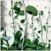 10 lu Yaprak Tasarımlı  Kablo Bitki Sarmaşık Düzenleyici Yapışkanlı Klipsler thumbnail 5