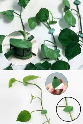 10 lu Yaprak Tasarımlı  Kablo Bitki Sarmaşık Düzenleyici Yapışkanlı Klipsler thumbnail 11