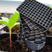 128 GÖZ (100 adet) Viyol FİDE YETİŞTİRME VİYOLÜ FİDAN YETİŞTİRME KABI ÇİLEK SEBZE MEYVE SÜS BİTKİSİ SKULENT FİDELİK thumbnail 5