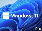 MS Windows 11 Pro FQC-10556 64BIT TR (OEM) - 1