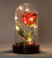 Fanusta Led Işıklı Kırmızı Gül ve Uğur Böceği Kolye Seti Mika Fanus - 2