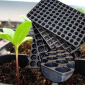 48 GÖZ (5 adet) Viyol FİDE YETİŞTİRME VİYOLÜ FİDAN YETİŞTİRME KABI ÇİLEK SEBZE MEYVE SÜS BİTKİSİ SKULENT FİDELİK - 5