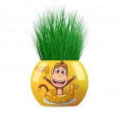 3628-3321-3741-3604-3581 Çim Adam Lol,Kral Şakir,Kukuli,Rafadan Tayfa,Pırıl - 3