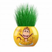 3628-3321-3741-3604-3581 Çim Adam Lol,Kral Şakir,Kukuli,Rafadan Tayfa,Pırıl - 8