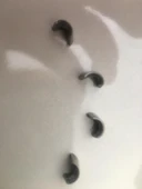 Subop Takım Cg 200 Tırnaklı Dq Sübop Tk thumbnail 2