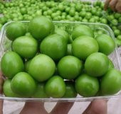 Yeşil Can Erik Turfanda Taze (500 gram) - 1