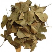 GİNKGO BİLOBA (MABET AĞACI YAPRAĞI) 100 GR - 1
