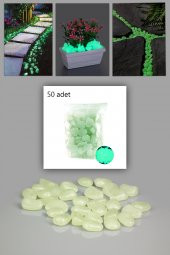 50 Adet Fosforlu Çakıl Taşı Gece Parlayan Fosforlu Çakıl Taşları Akvaryum Parlak Fosfor Taş - 1