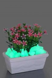 50 Adet Fosforlu Çakıl Taşı Gece Parlayan Fosforlu Çakıl Taşları Akvaryum Parlak Fosfor Taş - 3