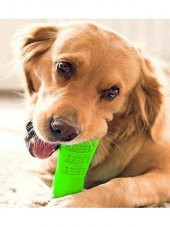 Köpek Diş Temizleyici Kaşıyıcı Oyuncak Kaşıma Temizleme Oyuncağı - 2