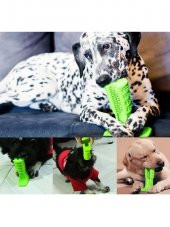 Köpek Diş Temizleyici Kaşıyıcı Oyuncak Kaşıma Temizleme Oyuncağı - 3
